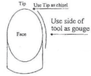 An Excerpt from Beecham's Instruction for the use ...
